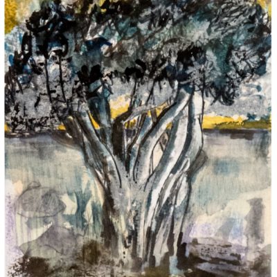 612 boom aquarel 30x40cm 30 euro