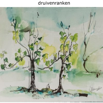 637 druivenrank 60x50cm aq IMG_2229 A4 verkocht