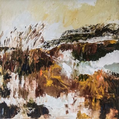645 landschap olie 50x50cm A4 m 190