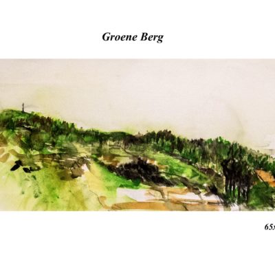 664 Groene Berg 65x24cm olie IMG_4691 m 80