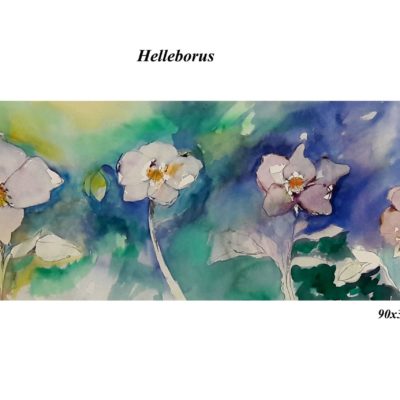 673 Helleborus 90x30cm aq A4 m 175