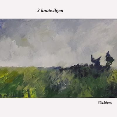678 3 knotwilgen 20x50cm olie m 40