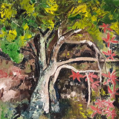 698 Chateau m rhodondendron 60x60cm m 200
