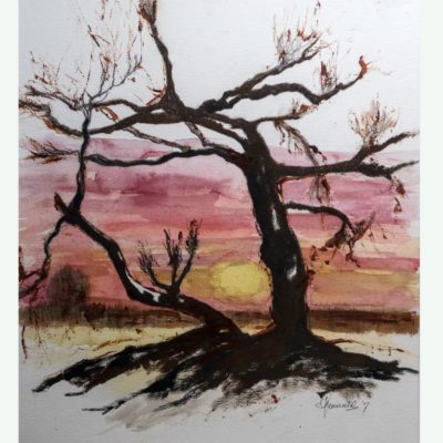 723 Zonsondergang 47x63cm aq A4 m 85 (1)