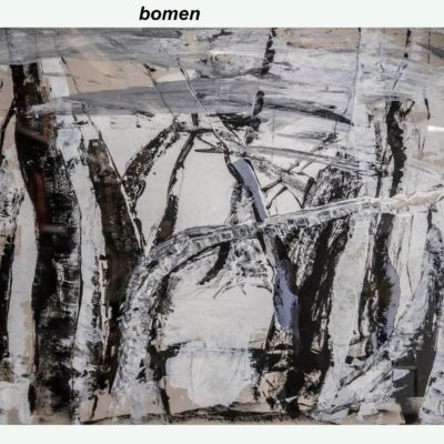 733 bomen bomen 69x50cm aq m 100