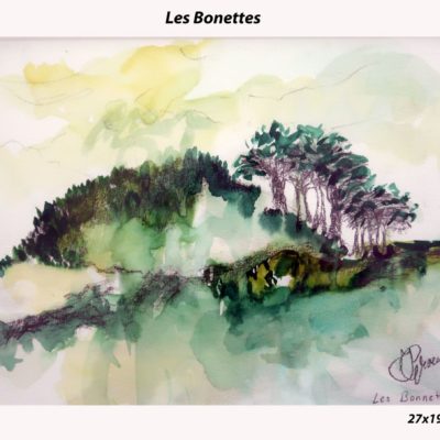 743 Les Bonettes aq 27x19cm IMG_0496 A4 m 50