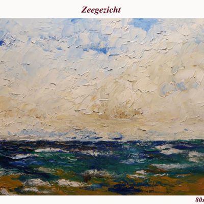 747 zeegezicht 80x60cm olieIMG_0630 200