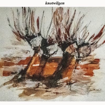 762 knotwilgen 67x50cm aquarel IMG_0521 A4 m verkocht