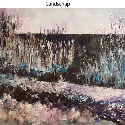 765 landschap 60x50cm olie 100