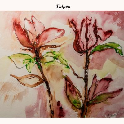 766 Tulpen 62x47cm aquarel verkocht
