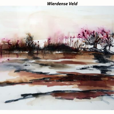 771 Wierdense Veld 61x47cm aquarel A4 100