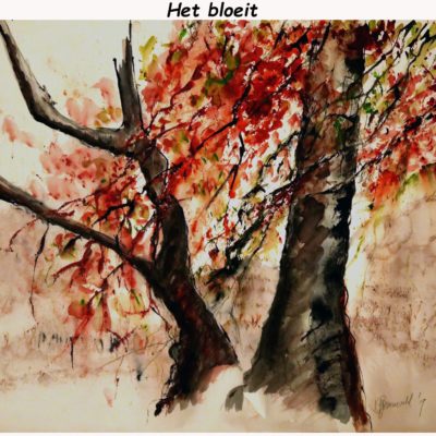777 het bloeit IMG_1324 acq 66x50cm A4 200