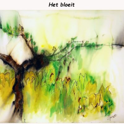 778 het bloeit IMG_1325 acq 66x50cm 100