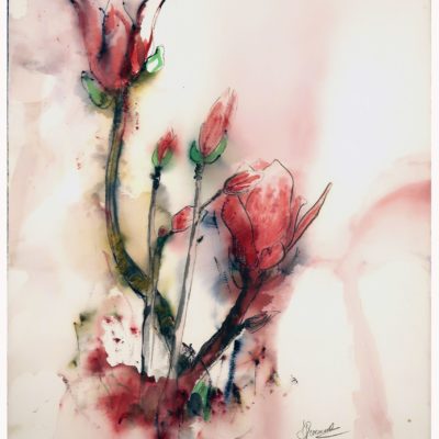 779 Magnolia IMG_1326 acq 50x66cm 200