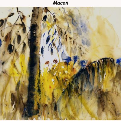 784 Macon IMG_1331 acq 66x50cm 200
