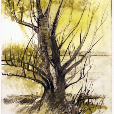 793 Macon IMG_1340 acq 33x50cm 100
