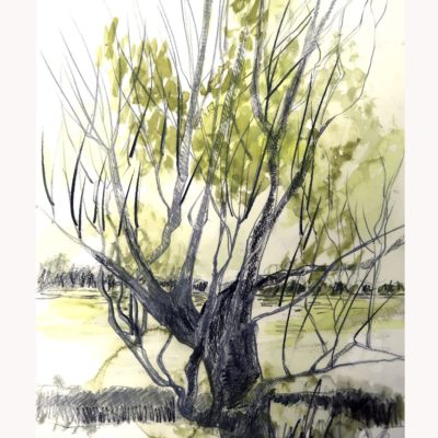 797 Macon IMG_1345 acq 33x50cm100