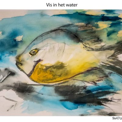 915 vis in het water aq 69x47cm IMG_3326 A4 100